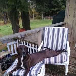 Meet your Posher, Valerie